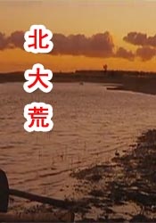爽爽爽网站