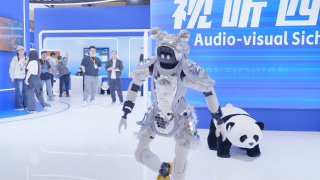 成人网在线免费观看